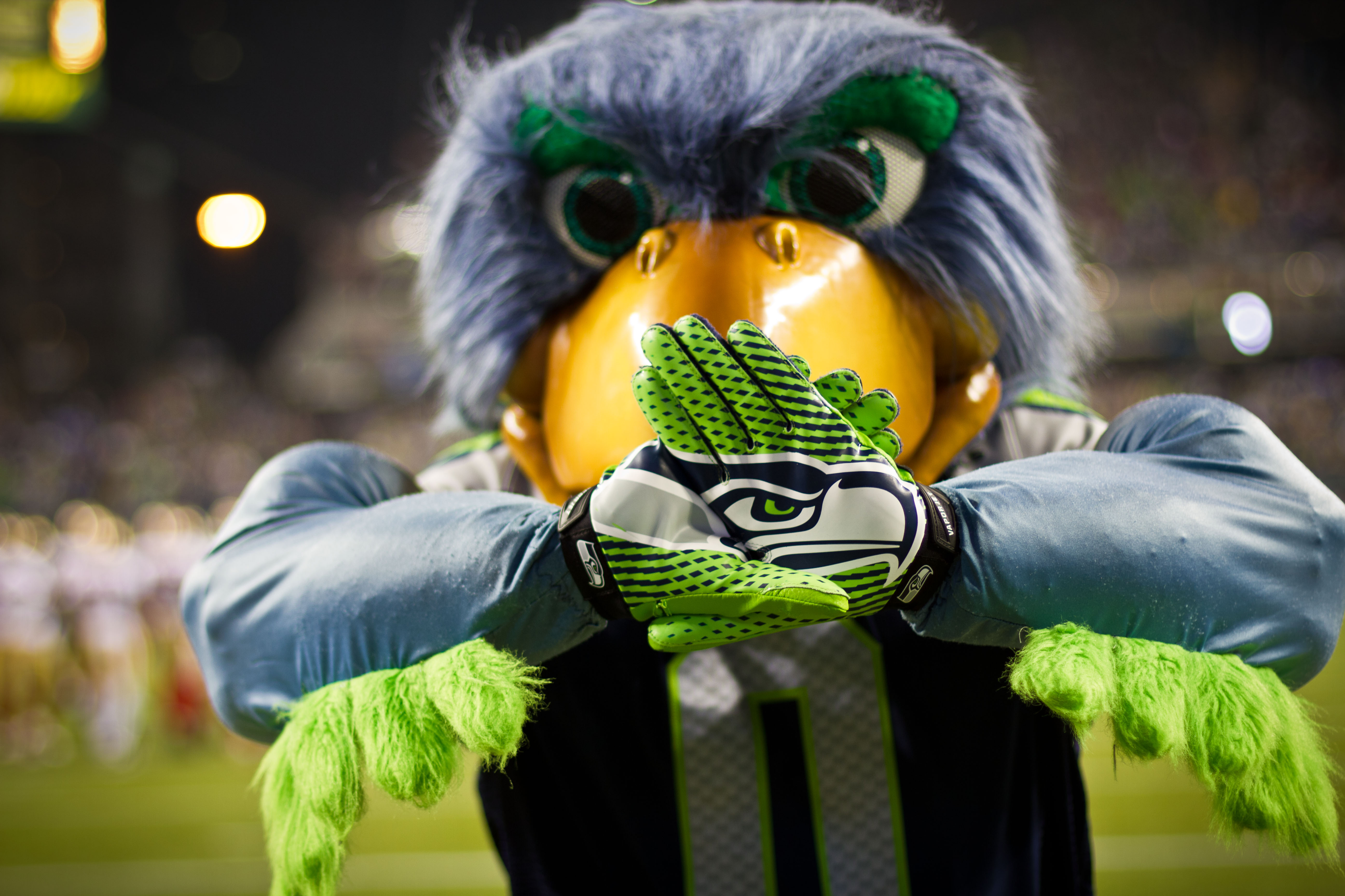 seahawks nfl mascot gigantic furry bird